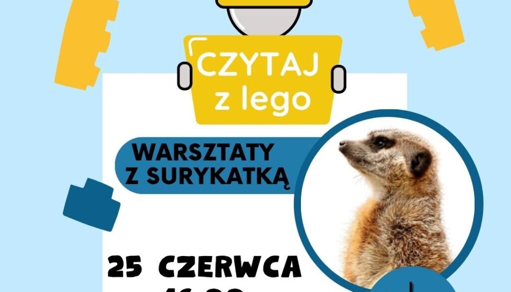 LEGO (Post na Instagram)