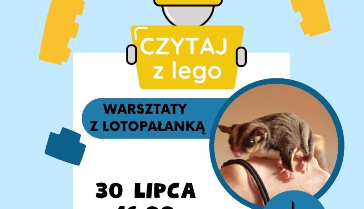 LEGO (Post na Instagram) LEGO (Post na Instagram)