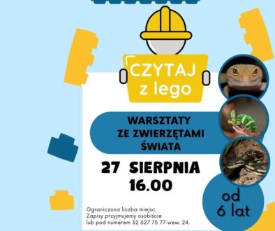 LEGO (Post na Instagram)