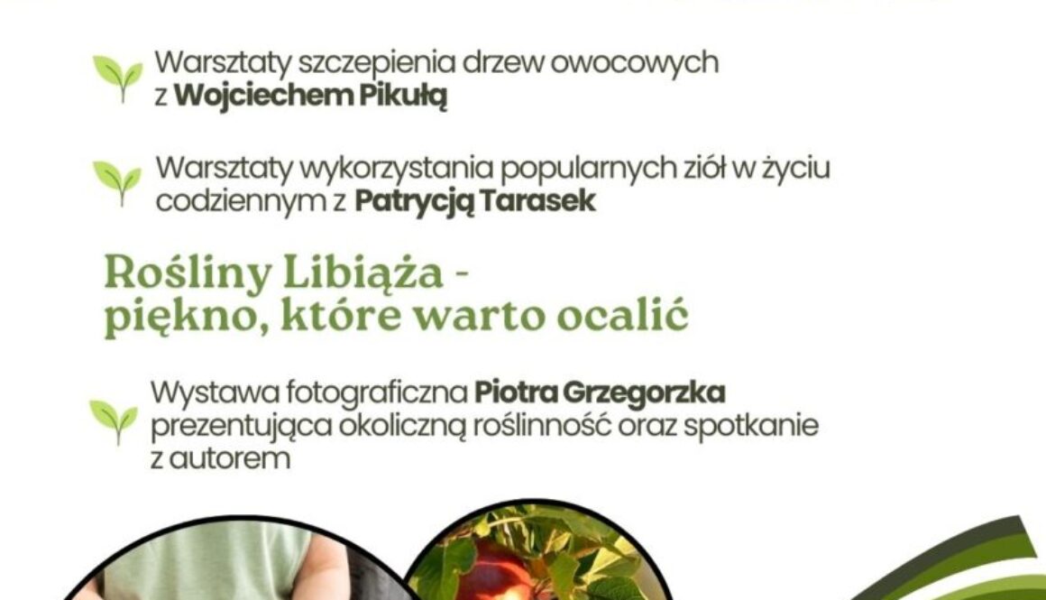 warsztaty (rozmiar insta)