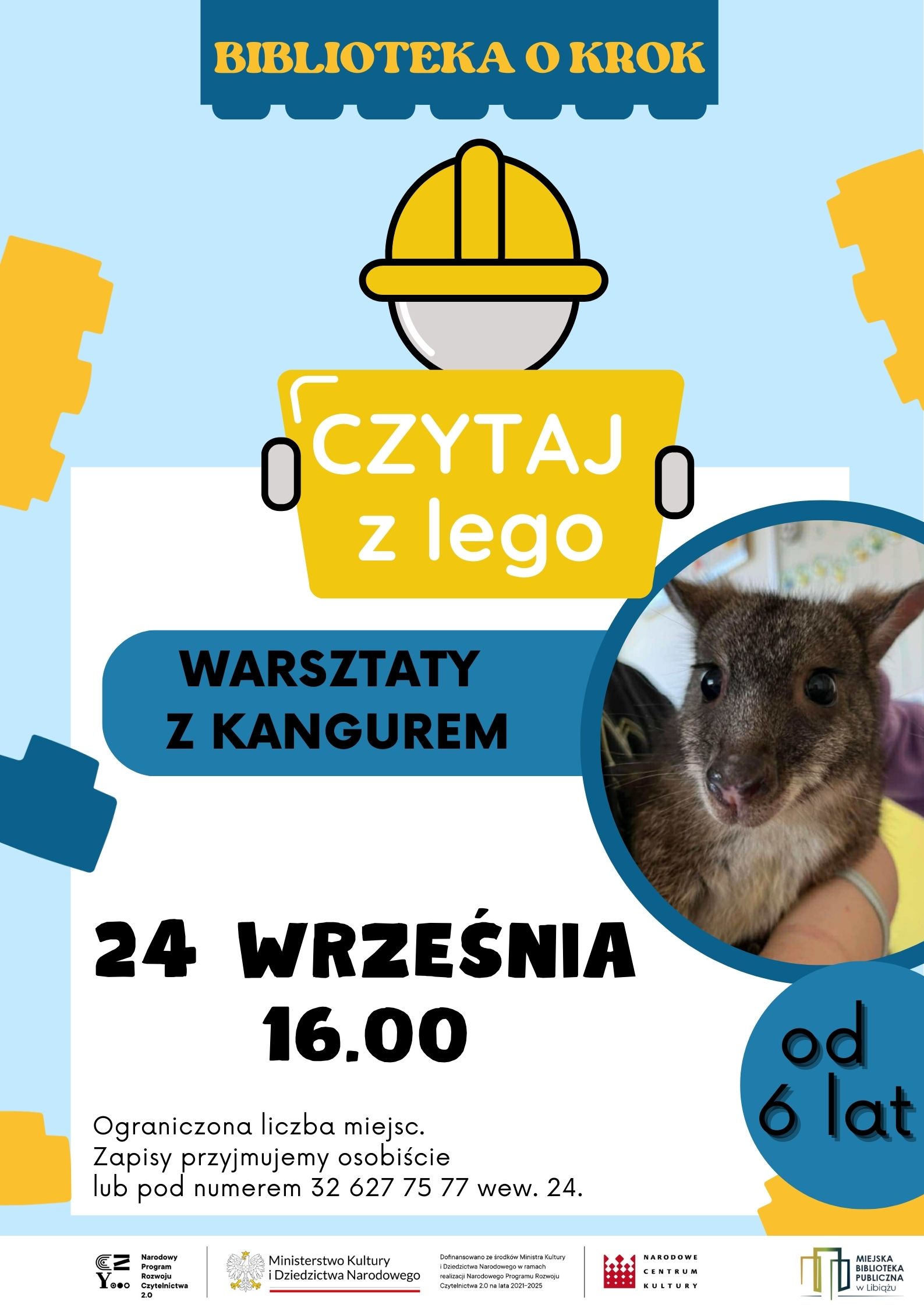 LEGO (1)