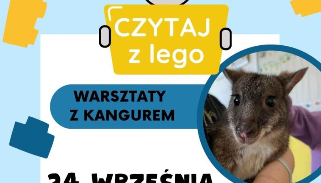 LEGO (Post na Instagram (45))