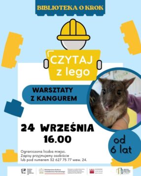 LEGO (Post na Instagram (45))