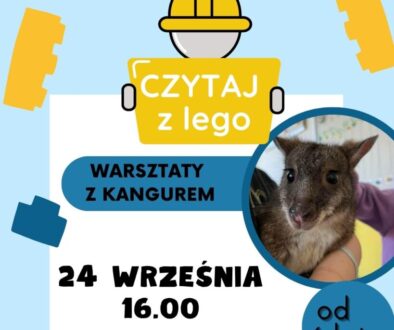 LEGO (Post na Instagram (45))