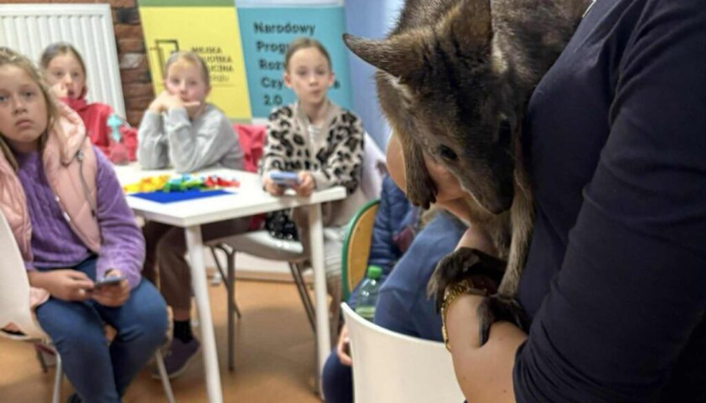 c6623dee-0f7d-4c82-9654-84b4811a64c4