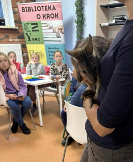 c6623dee-0f7d-4c82-9654-84b4811a64c4