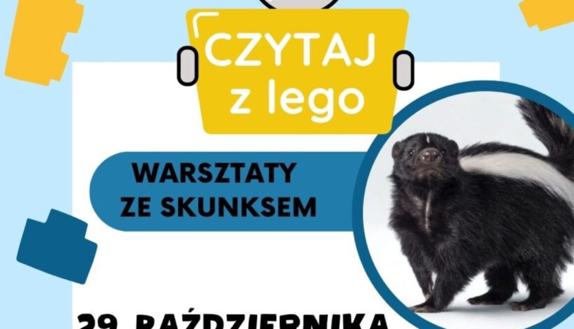 LEGO (Post na Instagram (45))