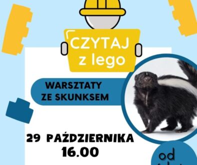 LEGO (Post na Instagram (45))