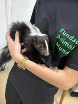 3f3ffa7f-b620-47d4-8d96-c39f184f96be