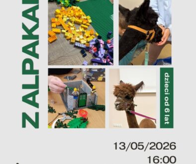 BUDUJ z Alpakami (1)