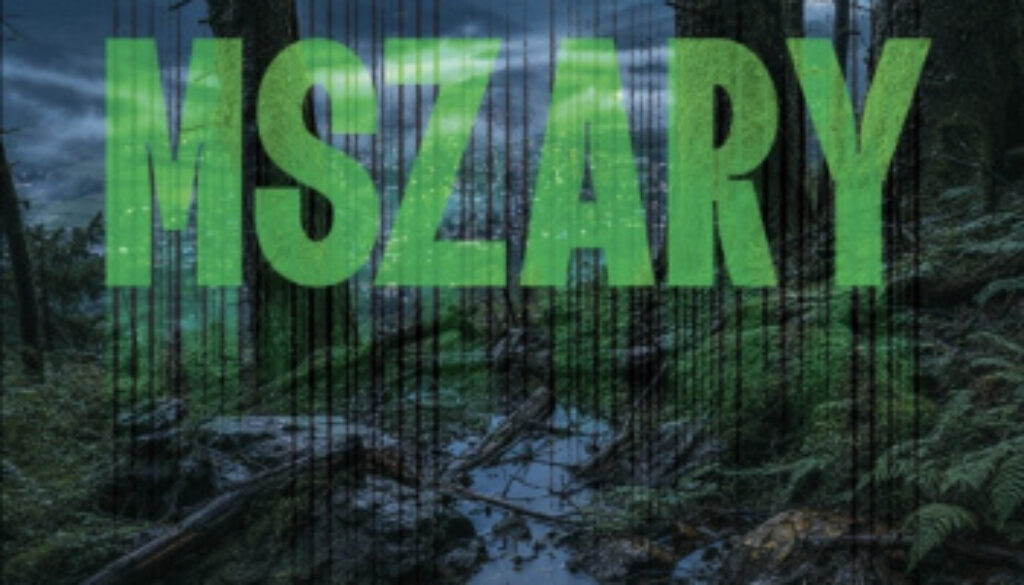 Mszary